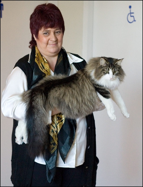 Carlson du Valldall 5.jpg - Carlson du Valldall